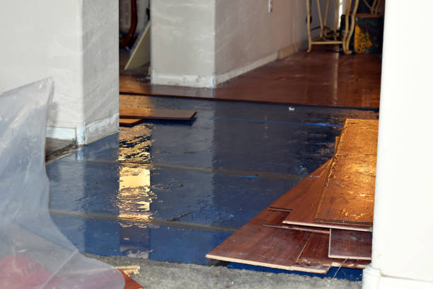 Professional Water Damage Restoration technician working in Bethel, OH